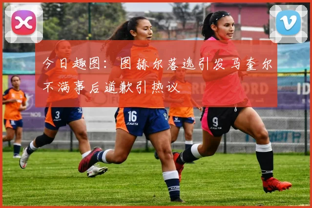 今日趣图：图赫尔落选引发马奎尔不满事后道歉引热议